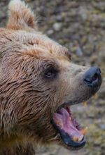 Peur, Superman et bienveillance : ma quarantaine un&hellip;